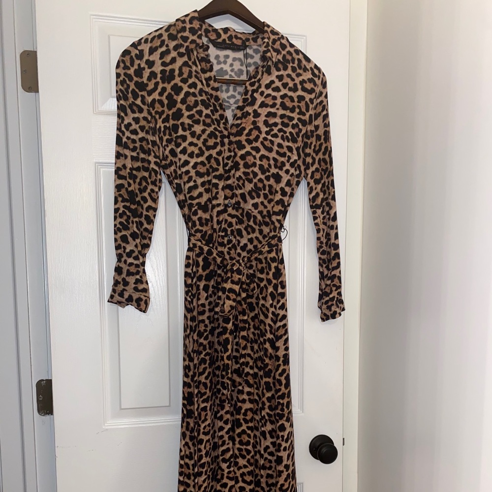 Sexy leopard  Zara dress